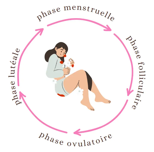 cycle menstruel